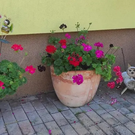 Svrcinova