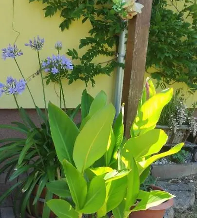 Svrcinova Apartament Hluboká nad Vltavou