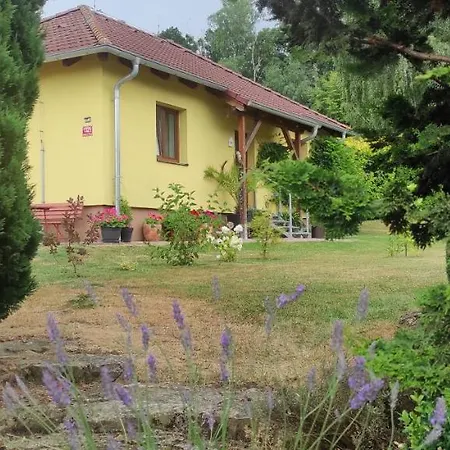 švrčinová *