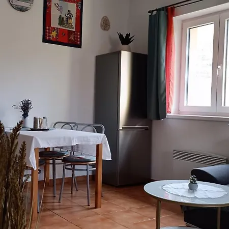 Apartment Svrcinova *