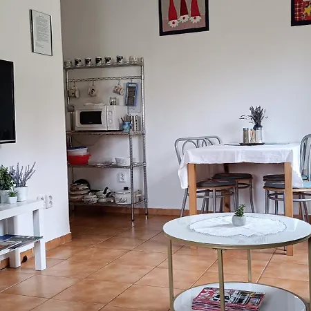 Svrcinova Apartment *