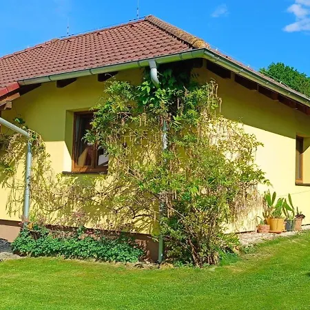 Apartament Svrcinova *