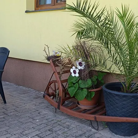 Svrcinova *