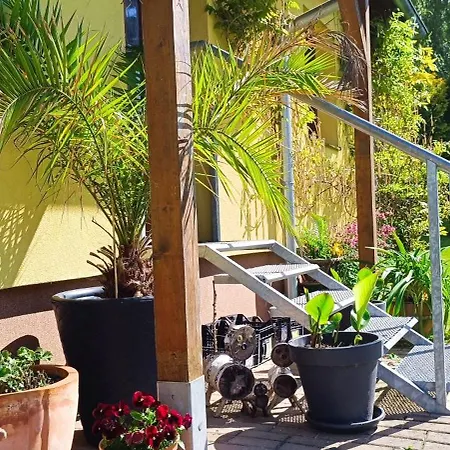 Apartament Svrcinova *