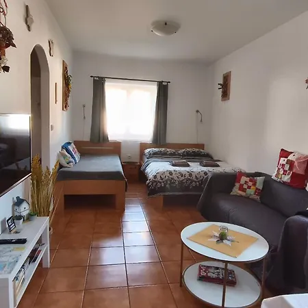Svrcinova Apartment