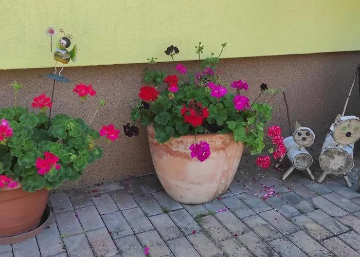 Svrcinova