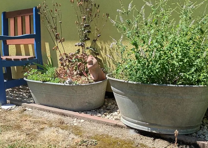 Svrcinova Hluboká nad Vltavou