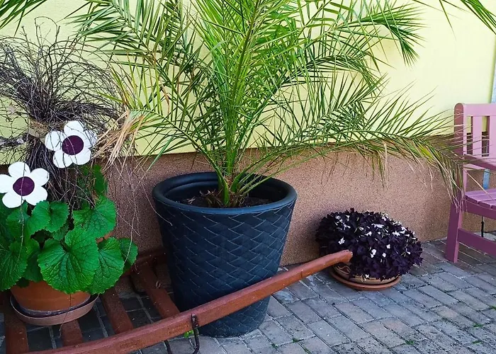 Svrcinova Hluboká nad Vltavou